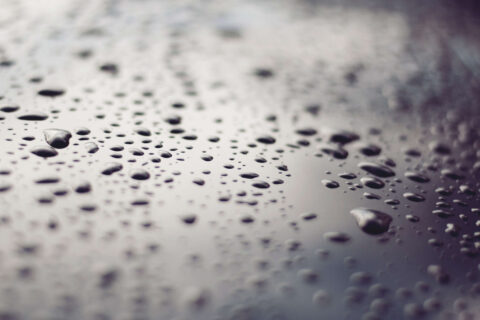 Damp Proofing West Kent & East Sussex