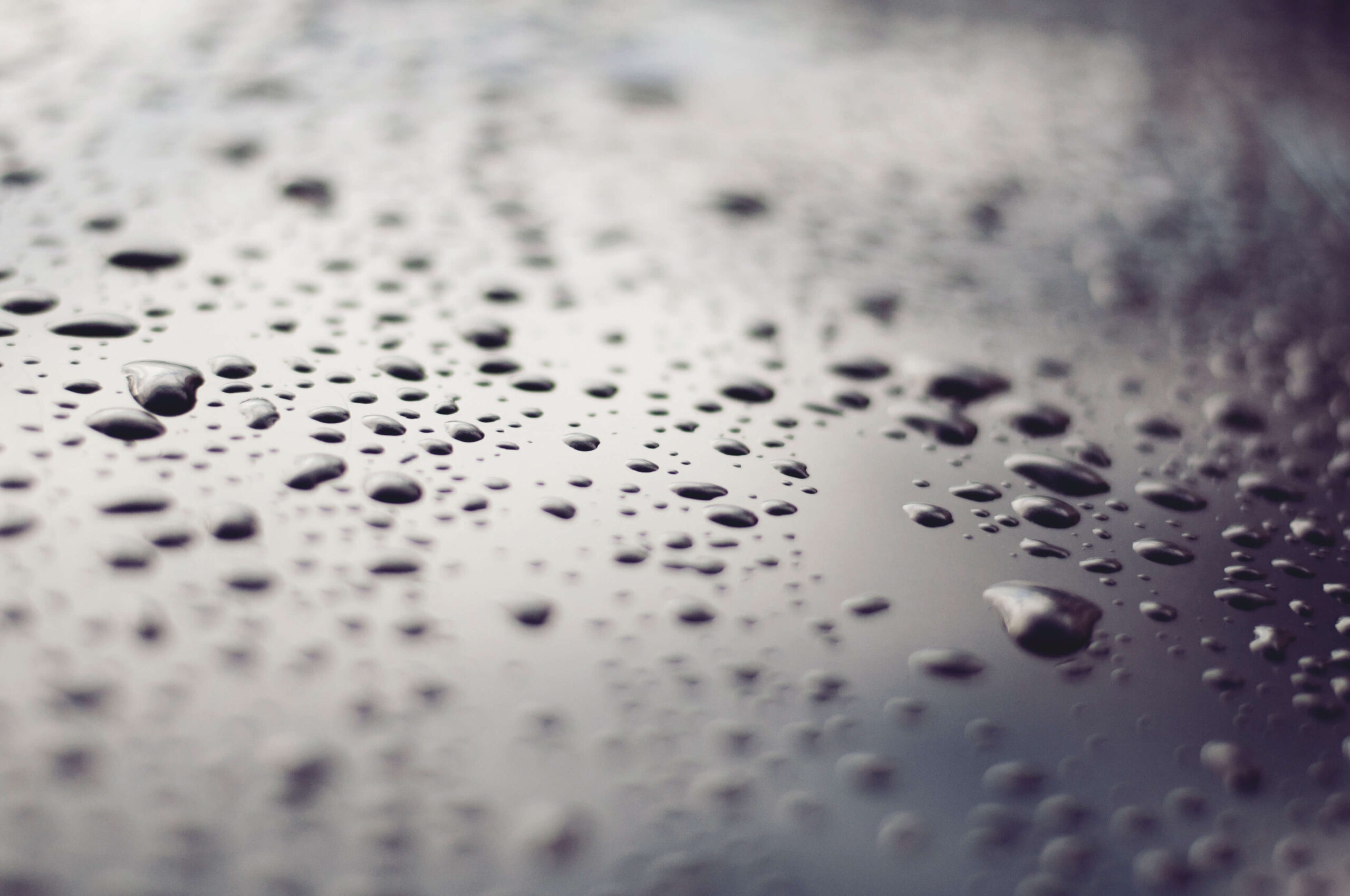 Damp proofing contractors West Kent & East Sussex