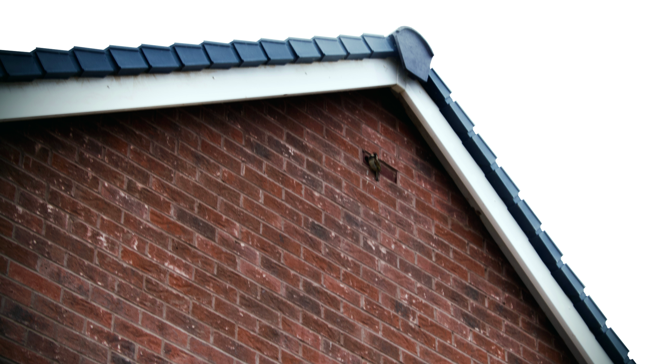 Local roofer near me Local roofer near me West Kent & East Sussex