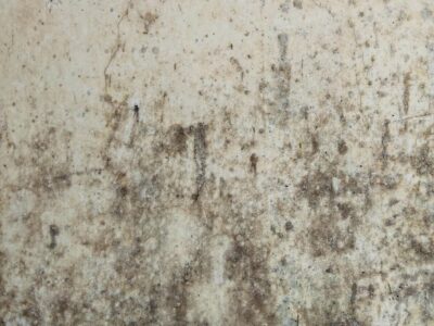 Damp issues Burgess hill