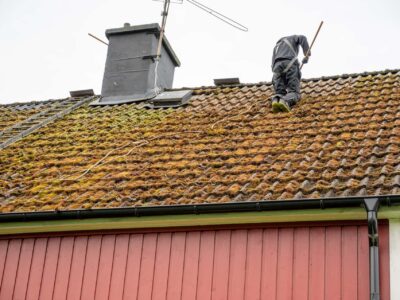 Roof moss removal Crawley