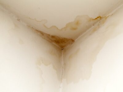 Damp proof solutions Burgess hill