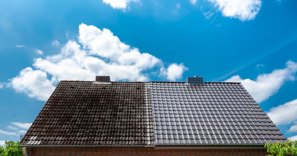 Roof moss removal West Kent & East Sussex