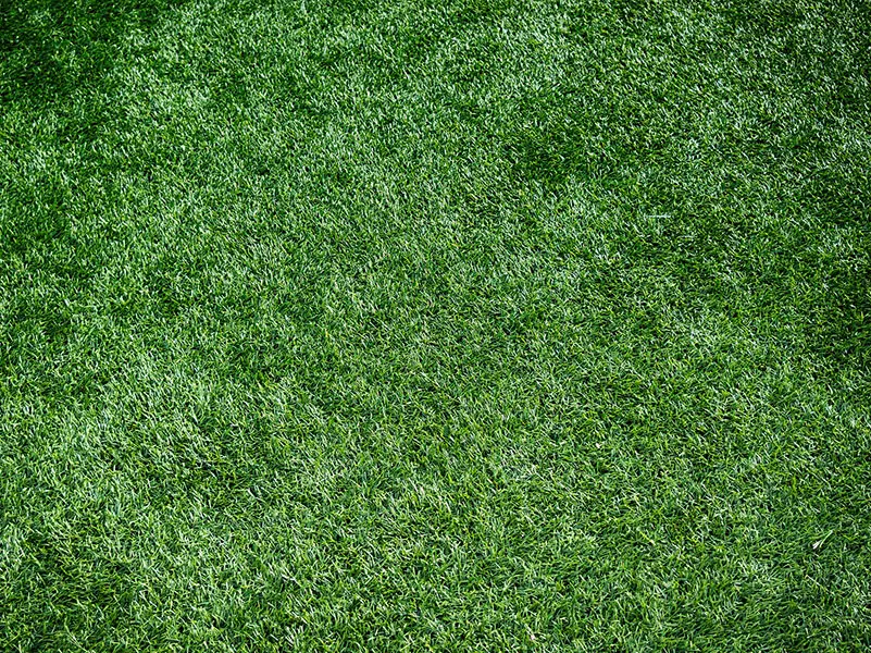 Artificial turf Artificial turf West Kent & East Sussex